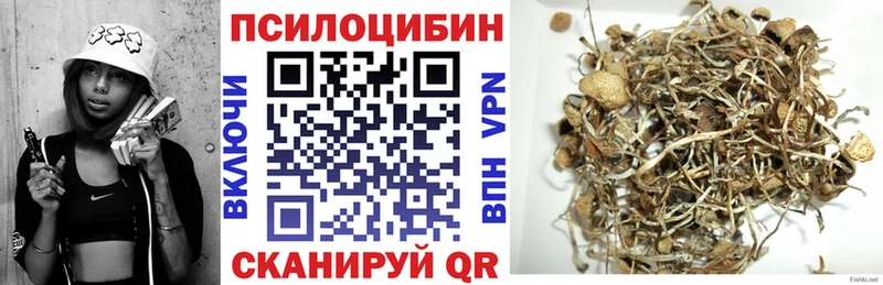 Галлюциногенные грибы MAGIC MUSHROOMS  купить  цена  Балахна 